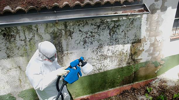 Top rated local Mold Cleanup specialists in Aberdeen, MD